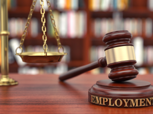 Navigating the Complexities of Law and Justice with The Legal Explorer