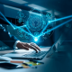 Growing Importance of Digital Tools in Finding and Securing Jobs