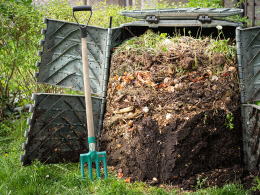 Guide to Composting: Tips and Tricks for Successful Compost Piles