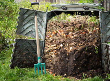 Guide to Composting: Tips and Tricks for Successful Compost Piles