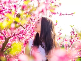 Botanical Beauty