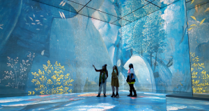 Unforgettable Art Experiences