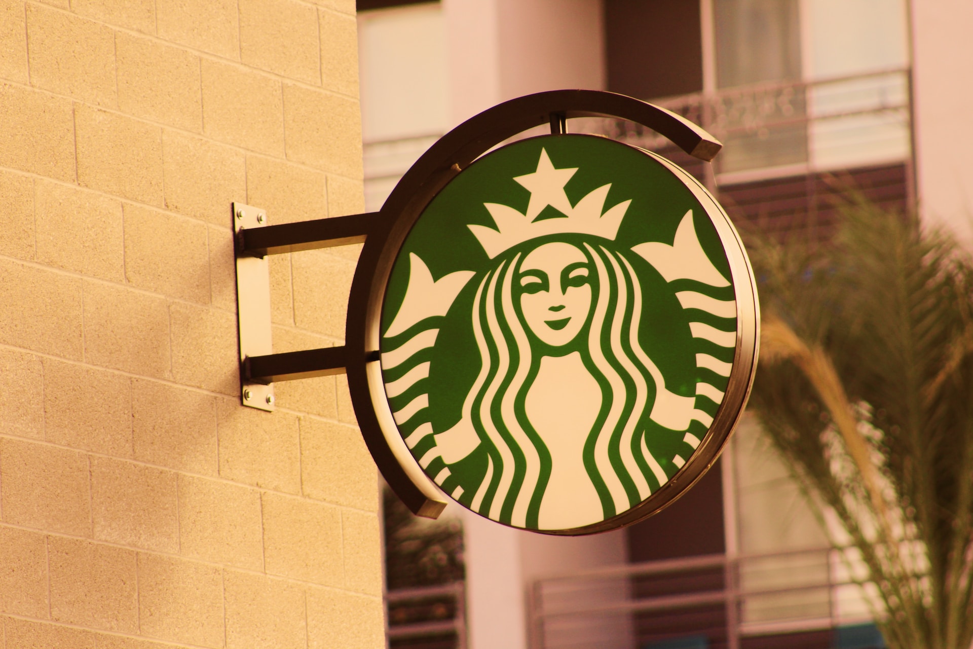 Starbucks night food menu