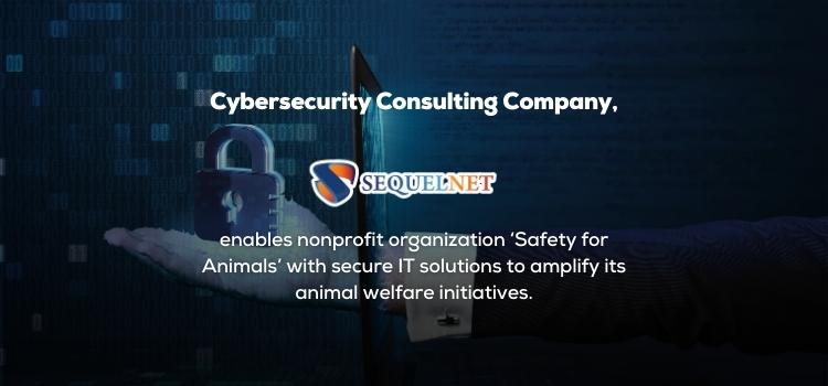 Cybersecurity Consulting Company