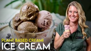 Vegan Ice Cream