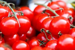 disease-resistant tomato varieties