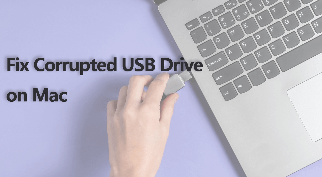 How to Fix External Hard Drive Not Showing on Mac