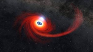 Black Holes