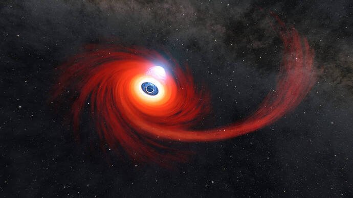 Black Holes