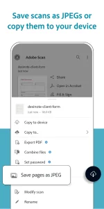 Adobe Apps