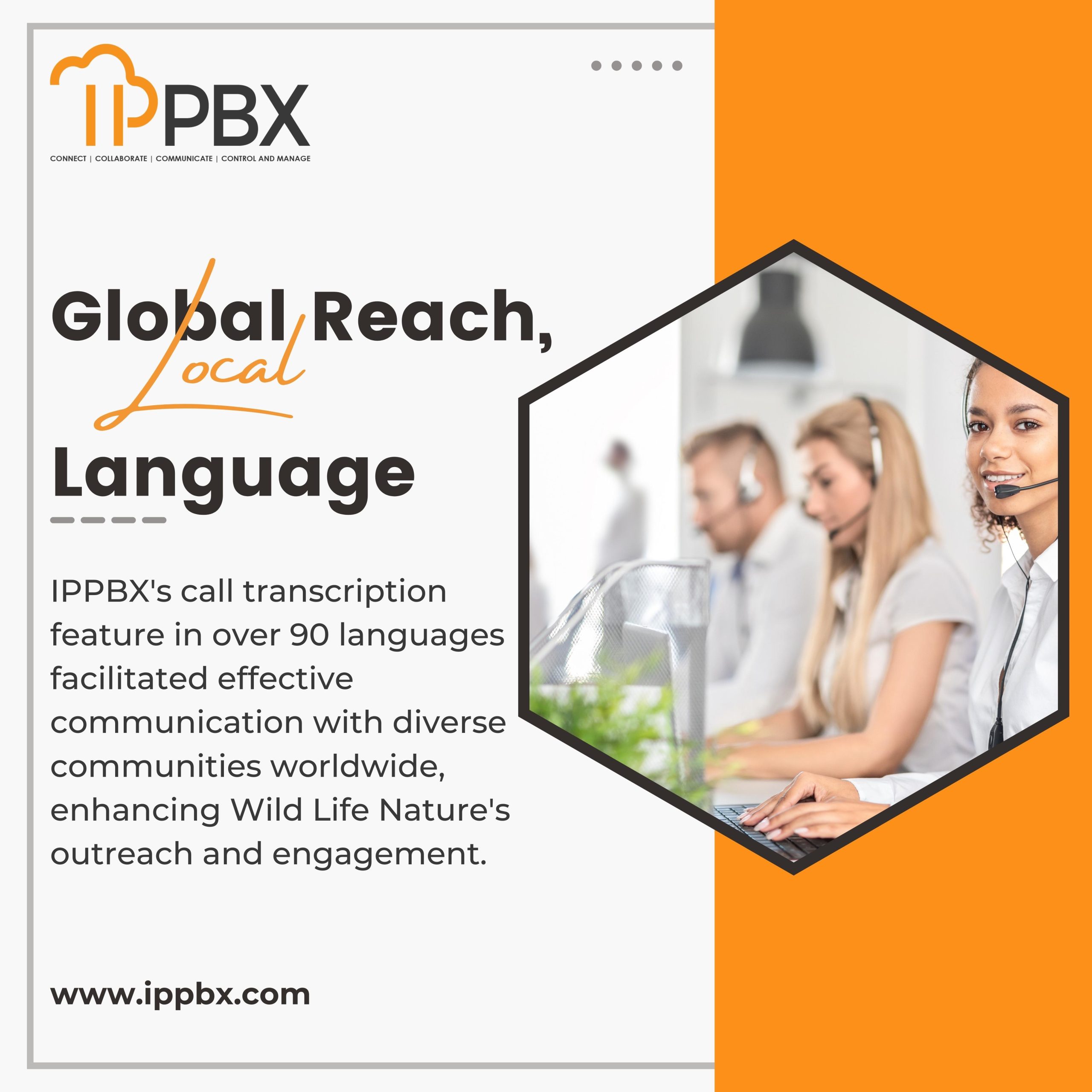 Global Reach, Local Language