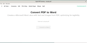 PDF-to-Word