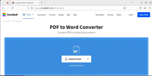 PDF-to-Word