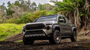 Tacoma Truck