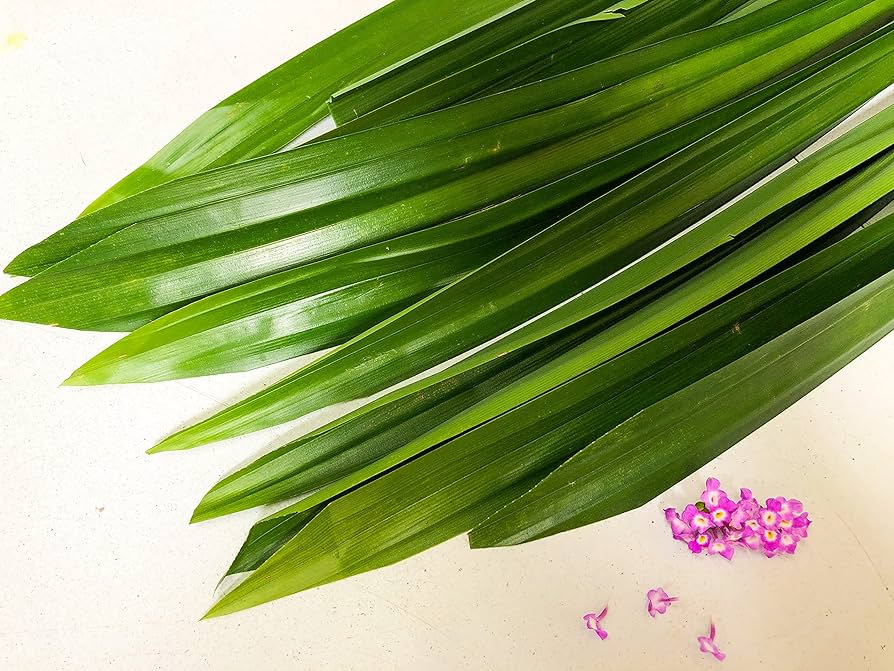 Pandan Leaves