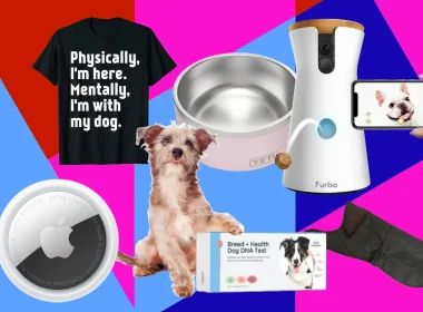 Gifts for Dog Enthusiasts
