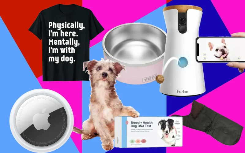 Gifts for Dog Enthusiasts