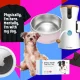 Gifts for Dog Enthusiasts