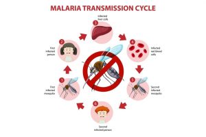 malaria