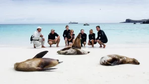 Island-Hopping Adventures: Navigating the Galapagos Archipelago