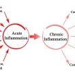 What is Chronic Inflammation (and How to Treat It)