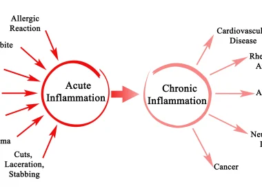 What is Chronic Inflammation (and How to Treat It)