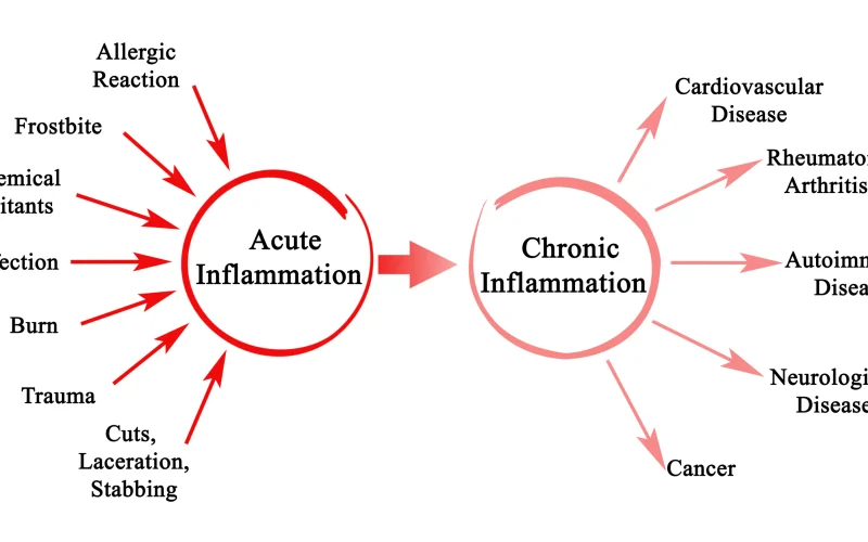 What is Chronic Inflammation (and How to Treat It)