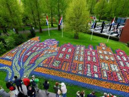 Blossoming Bonds Unveiling Keukenhof's Family-Friendly