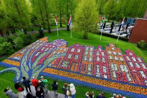 Blossoming Bonds Unveiling Keukenhof's Family-Friendly