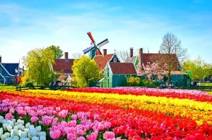 Blossoming Bonds Unveiling Keukenhof's Family-Friendly