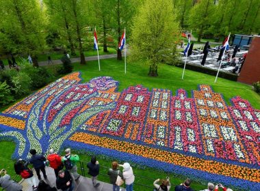 Blossoming Bonds Unveiling Keukenhof's Family-Friendly