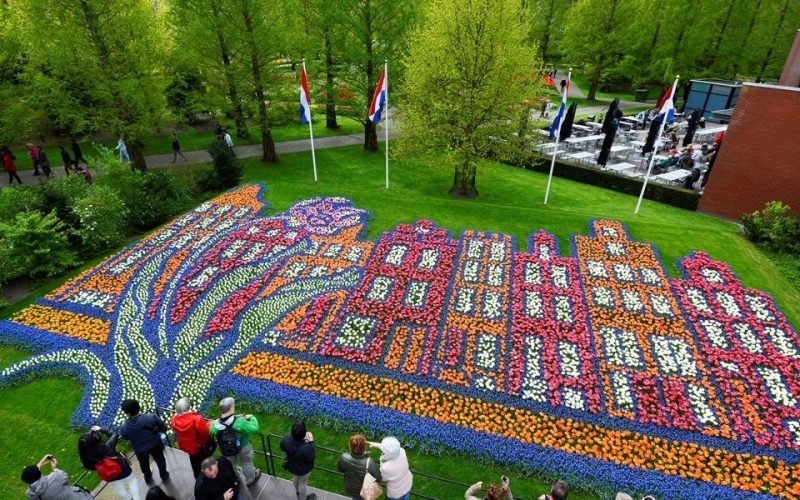 Blossoming Bonds Unveiling Keukenhof's Family-Friendly