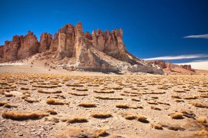 Discover Atacama Guide for Your Desert Adventure