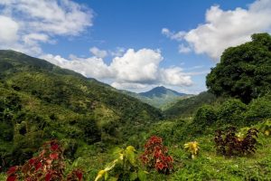 Exploring Jamaican Parks A Nature Lover's Guide