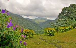 Nature's Wonders Deep into France's 8 Best National Parks