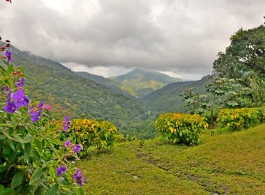 Exploring Jamaican Parks A Nature Lover's Guide