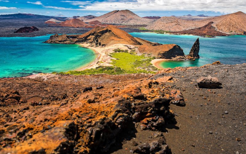 Galapagos Unveiling the Irresistible Allure of This Unique Haven