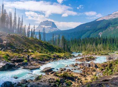 Nature's Wonders Deep into France's 8 Best National Parks