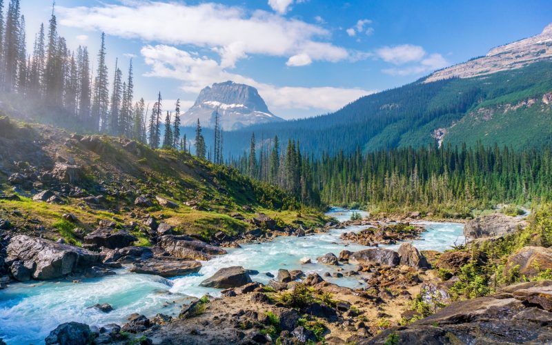 Nature's Wonders Deep into France's 8 Best National Parks