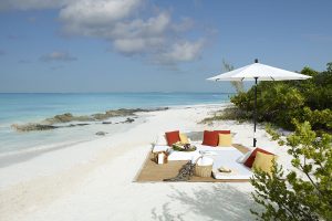 Turquoise Dreams Dive into the Allure of Turks & Caicos Islands