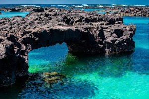 Untouched Wonders Irresistible Allure of Galapagos Islands