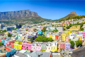 Urban Safari Adventures Explore Cape Town Central Wild Side