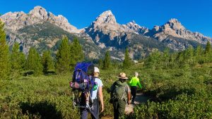  Yellowstone and Grand Teton A Family Adventure in the Wild