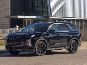 2023 Hyundai Palisade for Family Adventures