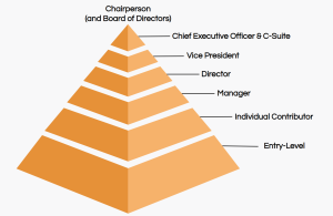 Job Responsibilities: Special Education Consultant Jobs