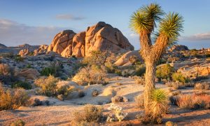 California road trip itinerary