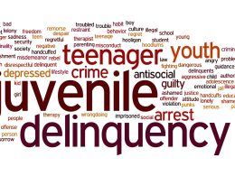 Cultural Awareness in Juvenile Justice