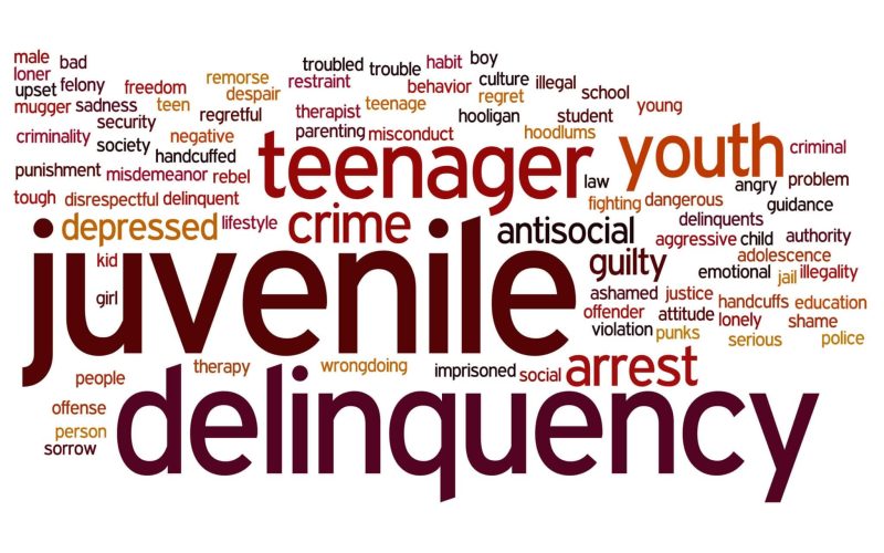 Cultural Awareness in Juvenile Justice