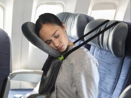 Small Travel Pillow