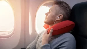 Small Travel Pillow